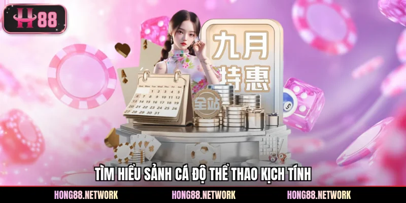Tìm hiểu sảnh cá độ thể thao kịch tính